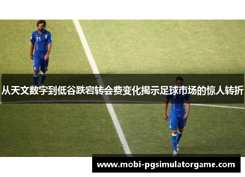 从天文数字到低谷跌宕转会费变化揭示足球市场的惊人转折