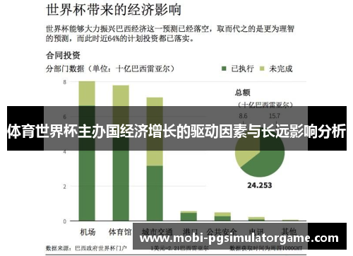 体育世界杯主办国经济增长的驱动因素与长远影响分析