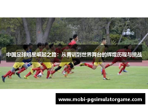 中国足球明星崛起之路：从青训到世界舞台的辉煌历程与挑战