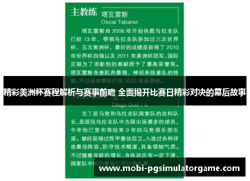 精彩美洲杯赛程解析与赛事前瞻 全面揭开比赛日精彩对决的幕后故事