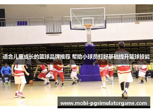 适合儿童成长的篮球品牌推荐 帮助小球员打好基础提升篮球技能