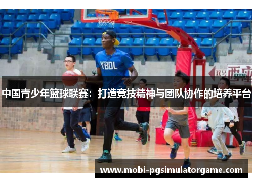 中国青少年篮球联赛：打造竞技精神与团队协作的培养平台