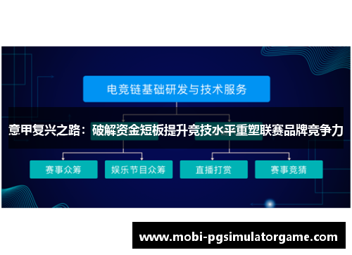 意甲复兴之路：破解资金短板提升竞技水平重塑联赛品牌竞争力