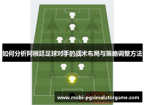 如何分析阿根廷足球对手的战术布局与策略调整方法