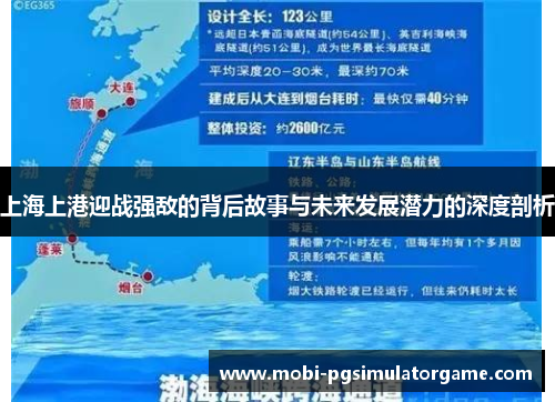 上海上港迎战强敌的背后故事与未来发展潜力的深度剖析