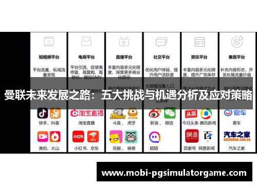曼联未来发展之路：五大挑战与机遇分析及应对策略