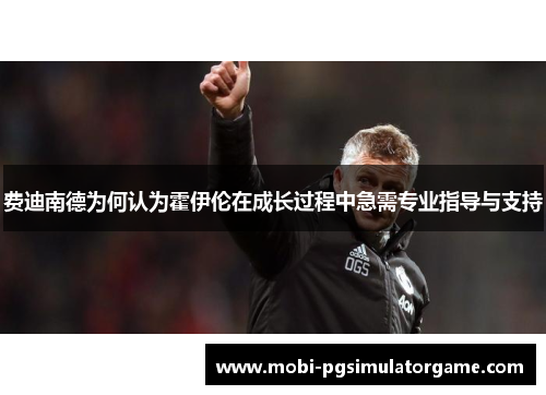 费迪南德为何认为霍伊伦在成长过程中急需专业指导与支持