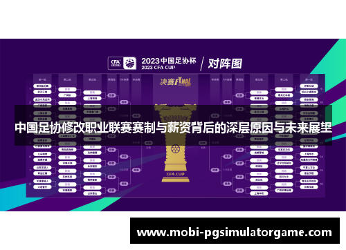 中国足协修改职业联赛赛制与薪资背后的深层原因与未来展望