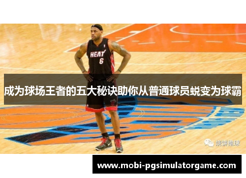 成为球场王者的五大秘诀助你从普通球员蜕变为球霸