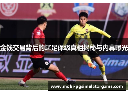 金钱交易背后的辽足保级真相揭秘与内幕曝光