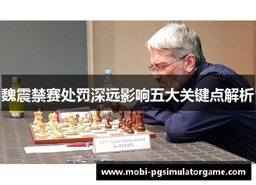 魏震禁赛处罚深远影响五大关键点解析
