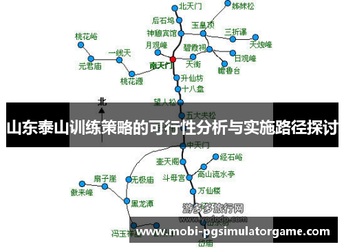 山东泰山训练策略的可行性分析与实施路径探讨