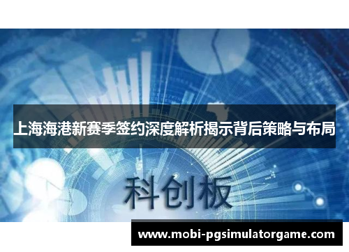 上海海港新赛季签约深度解析揭示背后策略与布局