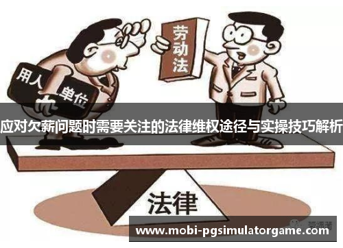 应对欠薪问题时需要关注的法律维权途径与实操技巧解析