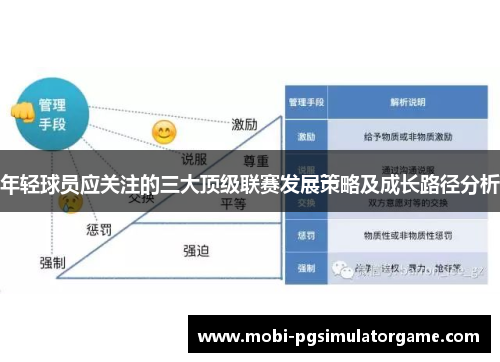 年轻球员应关注的三大顶级联赛发展策略及成长路径分析