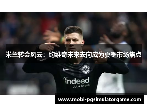 米兰转会风云：约维奇未来去向成为夏季市场焦点
