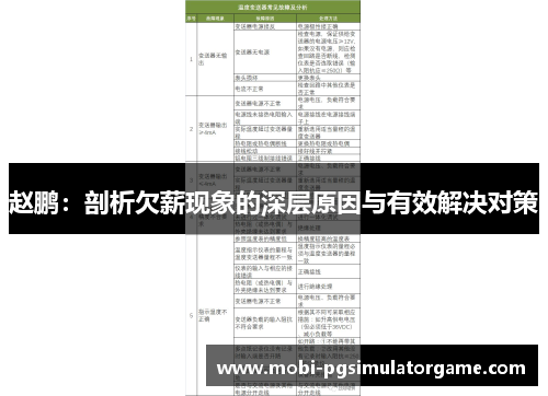 赵鹏：剖析欠薪现象的深层原因与有效解决对策