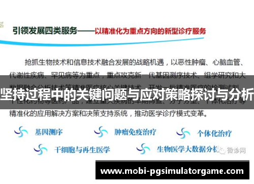 坚持过程中的关键问题与应对策略探讨与分析