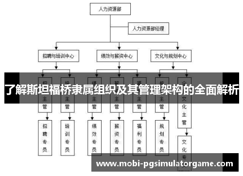 了解斯坦福桥隶属组织及其管理架构的全面解析