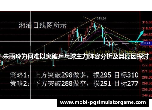 朱雨玲为何难以突破乒乓球主力阵容分析及其原因探讨