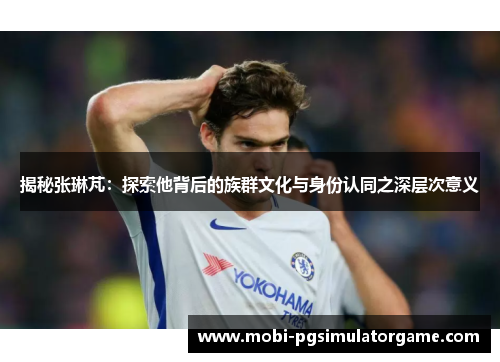 揭秘张琳芃：探索他背后的族群文化与身份认同之深层次意义