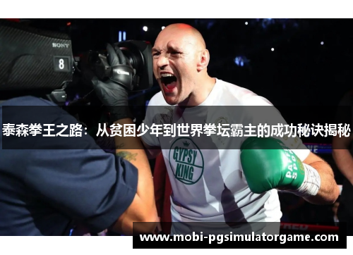 泰森拳王之路：从贫困少年到世界拳坛霸主的成功秘诀揭秘