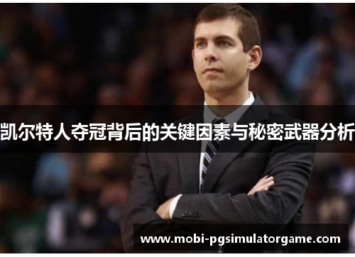 凯尔特人夺冠背后的关键因素与秘密武器分析