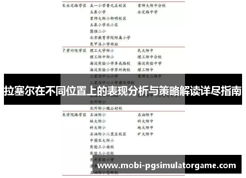 拉塞尔在不同位置上的表现分析与策略解读详尽指南
