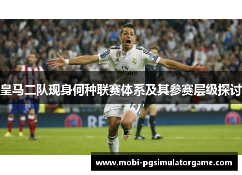 皇马二队现身何种联赛体系及其参赛层级探讨