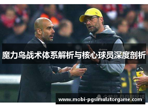 魔力鸟战术体系解析与核心球员深度剖析