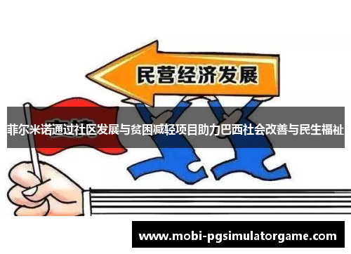 菲尔米诺通过社区发展与贫困减轻项目助力巴西社会改善与民生福祉