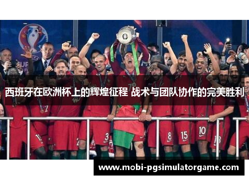 西班牙在欧洲杯上的辉煌征程 战术与团队协作的完美胜利