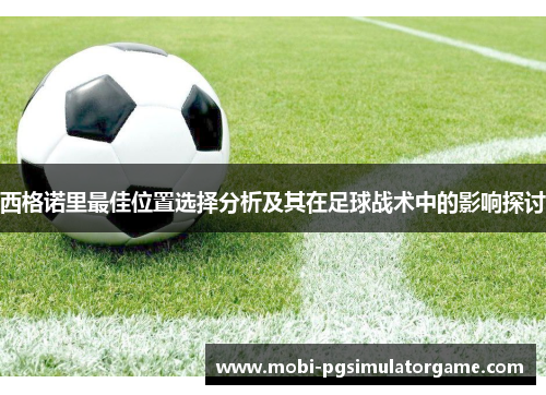 西格诺里最佳位置选择分析及其在足球战术中的影响探讨